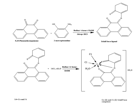 Cobalt (II) and Nickel (II) complexes with Schiff base derived from 9,10- phenanthrenquinone and 2-mercaptoaniline, synthesis and characterization 