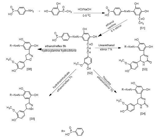 Biological activity of new heterocyclic compounds derived from chalcone 