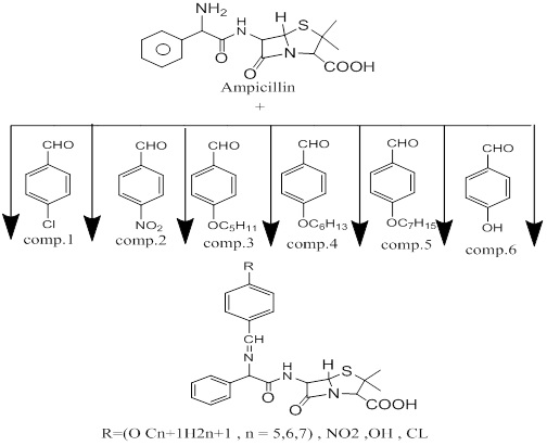 Synthesis, characterization, and studying of (thermal, spectral and physical) properties of new Schiff base monomers and liquid Crystal compounds from Ampicillin 