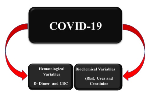 Biochemical and hematological variables in COVID-19 positive patients 