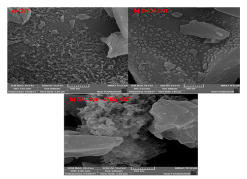 Microwave-assisted hydrothermal synthesis as a nanocomposite with superior adsorption capacity for efficient removal of toxic Maxillon blue(GRL) dye from aqueous solutions 