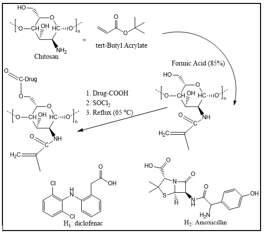 Synthesis and characterization of some new prodrug polymer based on chitosan with tertiary-butyl acrylate and study some application 