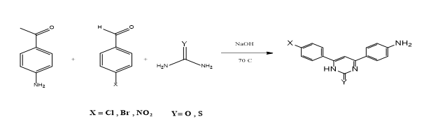 Synthesis of some new aryl sulfonyl derivatives and study of their biological activity 