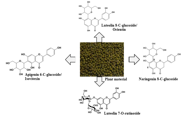 Major flavonoids identification by HPLC-MS/MS and evaluation of antiradical potential of mung bean (Vigna radiata) seed extracts in Burkina Faso 