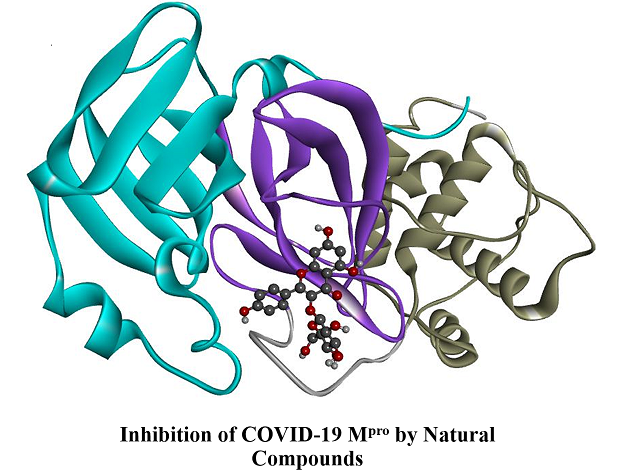 Natural compounds as strong SARS-CoV-2 main protease inhibitors: computer-based study 